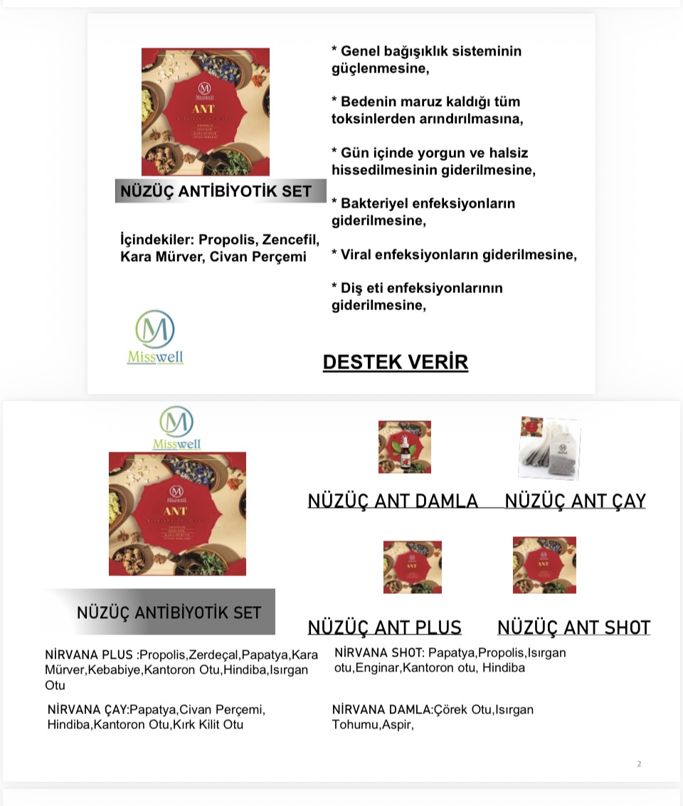 Nüzüç ANT SET